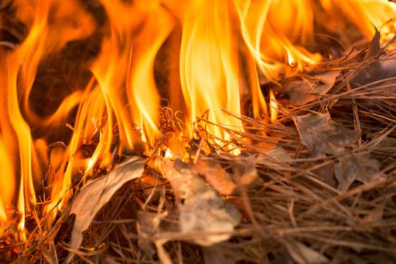 Mladí ľudia chceli počas lovu ohňom vyhnať zvieratá z úkrytov, sami zahynuli v plameňoch