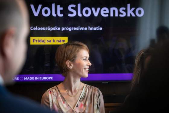 v sobotu sa uskutocni zakladajuce valne zhromazdenie strany volt slovensko clenska zakladna si bude volit svojich predsedov