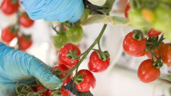 kvalita bez kompromisov sa oplati