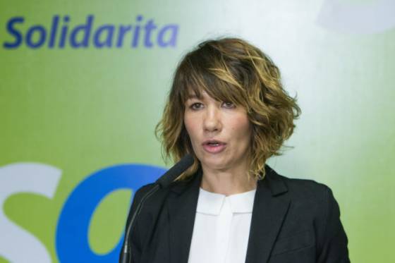Cieľom europoslankyne Nicholsonovej nebolo útočiť na vicepremiérku Remišovú