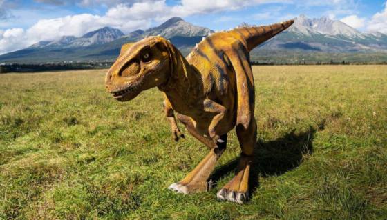 Dinopark Tatry vybudovali bez potrebných povolení, dinosaury i stany mali podľa inšpekcie dávno odstrániť