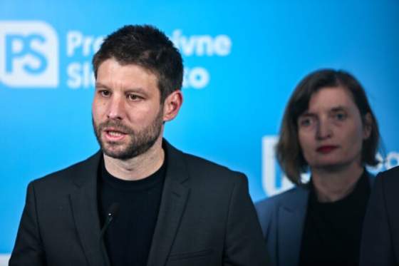 jedinym vychodiskom z vladnej krizy su podla simecku predcasne volby