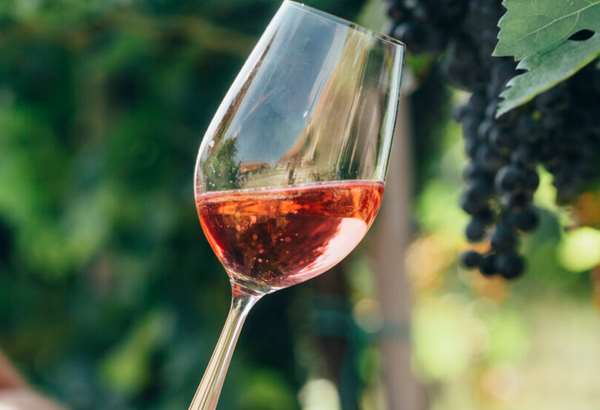 slovensko krajina ruzovych vin co robi nase rosecka svetovymi hviezdami