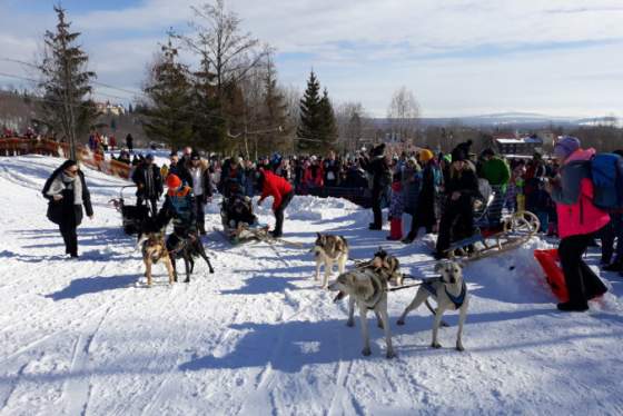 v tatranskej lomnici sa uskutocni dalsi rocnik podujatia snezne psy malych i velkych caka vikend plny zabavy