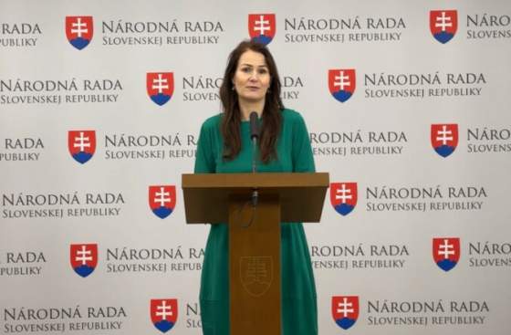 projekt miestnych obcianskych poriadkovych sluzieb konci bajo holeckova hovori o dolezitom socialnom nastroji