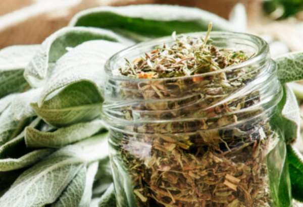 lieciva sila bylin tieto buriny vam mozu zmenit zdravie a rastu zadarmo