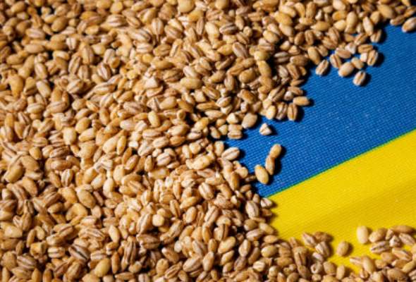 polski polnohospodari su nahnevani pretoze im ukrajinske obilie znizuje ceny bulhari pristupili k raznejsim krokom