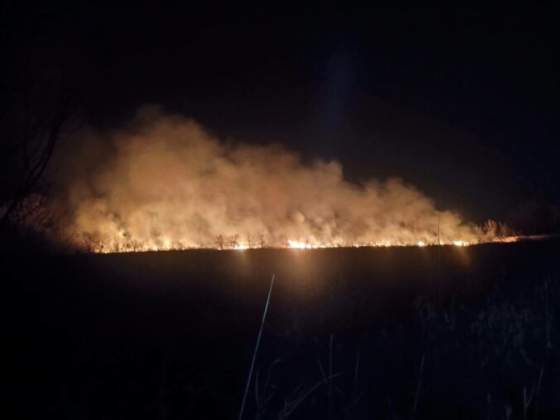 poziar v areali trnavskych rybnikov zamestnal hasicov plamene zasiahli velku plochu porastu foto