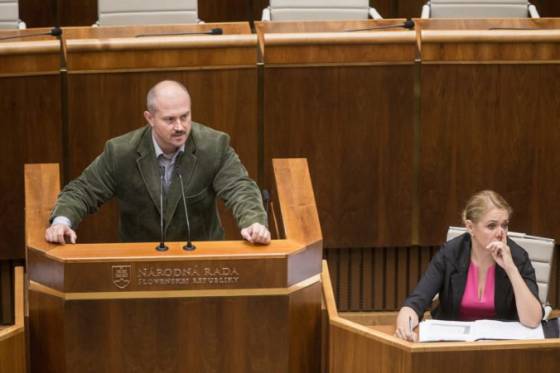 Mäkké formy extrémizmu by sa rozpustením Kotlebovej strany len oživili, obáva sa politologička