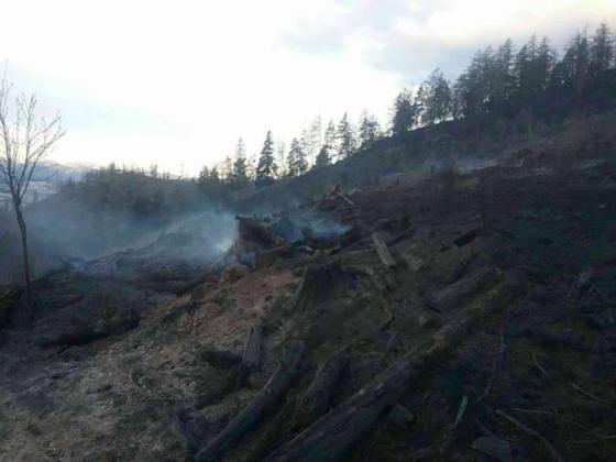 foto poziar lesa pri kravanoch uhasili pomahal aj vojensky vrtulnik mi 17