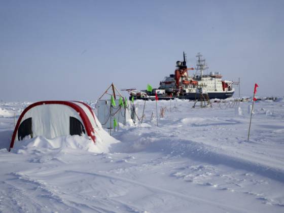 Ročná polárna expedícia bola pre koronavírus ohrozená, napriek komplikáciám bude pokračovať
