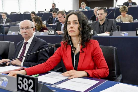 ruske vojska pri hraniciach s ukrajinou su neakceptovatelne podla lexmann podkopavaju europsku bezpecnost