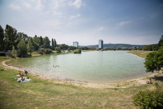 jazero kuchajda peni a na brehoch sa objavuju mrtve ryby bratislavske nove mesto reaguje