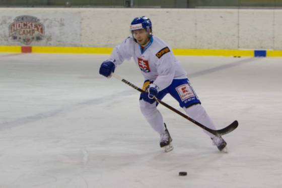 slovensku hokejovu reprezentaciu trapia zranenia tim opustil sukel a prisli lunter s okuliarom