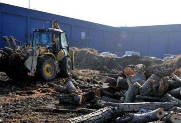 europsky parlament prijal novy zakon na boj proti globalnemu odlesnovaniu