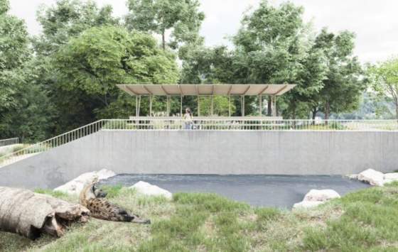 bratislavska zoo pripravuje novy vyber pre hyeny zamerany bude na bezpecie zvierat aj autenticky zazitok