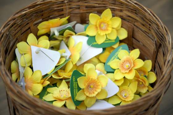 den narcisov je tu uz 30 rokov kedy mozete opat stretnut dobrovolnikov v uliciach