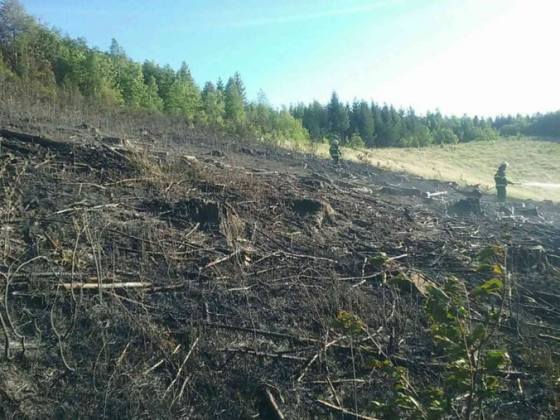 v ochodnici uz druhykrat v kratkom case horelo rubanisko pracu hasicov stazoval aj silny vietor foto