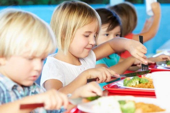 debata o obedoch zadarmo este neskoncila aktualny poslanecky navrh povazuju za nesystemovy