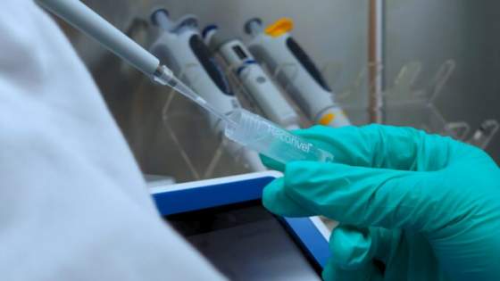 nizkomolekulove prirodne extrakty s obsahom peptidov ukazuju nadej v boji proti rakovine