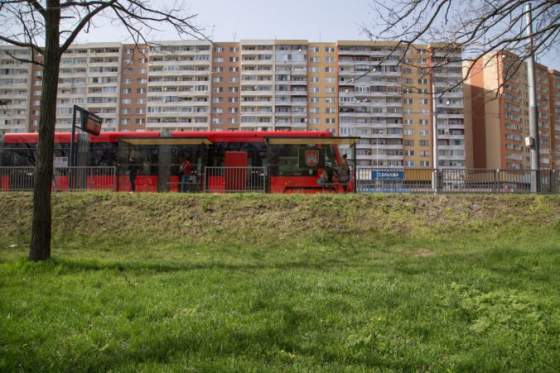 bratislavsky magistrat vyzval petrzalku aby ukoncila kosenie na jeho plochach