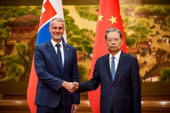 predseda parlamentu rasi sa v pekingu stretol so sefom cinskeho narodneho ludoveho zhromazdenia