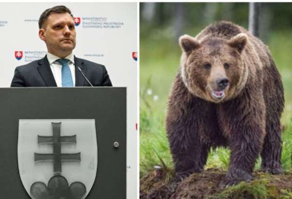 mimovladky napojene na ps si myslia ze medved ma vacsie pravo na zivot nez clovek tvrdi taraba