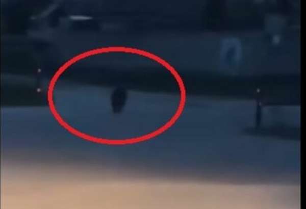 medved bezal obcou v turci a oblast monitoruje aj armada prebehol mi popred branicku k zastavke vravi miestna video