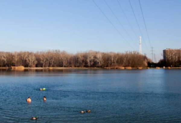 petrzalka eviduje mesacne desiatky priestupkov v okoli velkeho drazdiaka ake zakazy tu platia