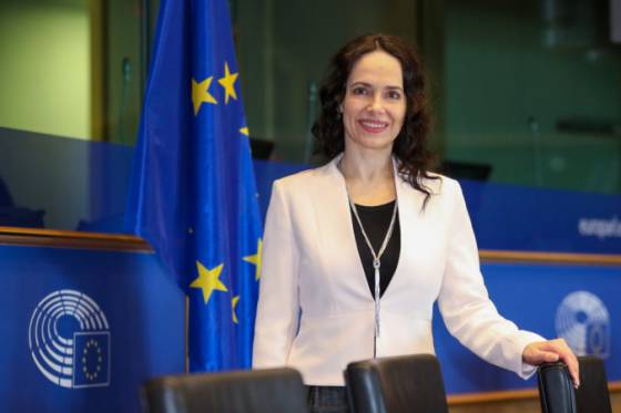materska dovolenka ma byt zohladnena v dochodku lexmann podnietila europsky parlament