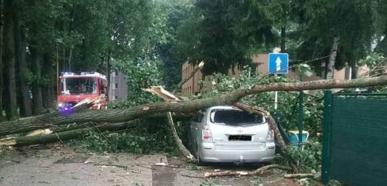 hasici pre silny vietor uskutocnili takmer 100 vyjazdov najviac zasahovali v okoli ziliny a martina