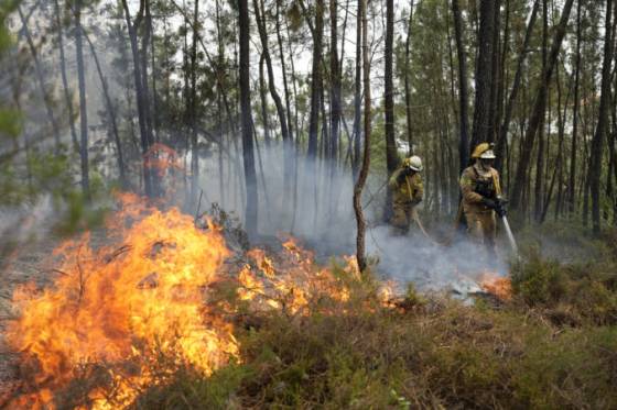 zomrel pilot poziarneho lietadla pomahal hasit ohen v portugalskych lesoch