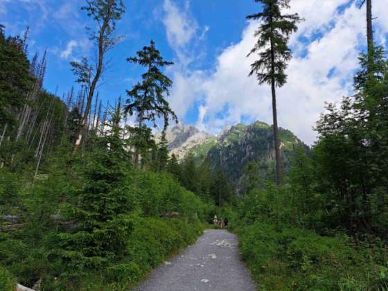 sprava tanap u kontrolovala dodrziavanie navstevneho poriadku skontrolovala desiatky horskych vodcov i turistov