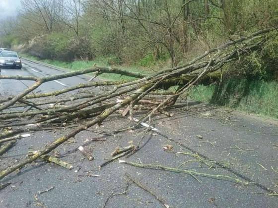 Rušnú noc mali pre intenzívne búrky aj hasiči v Žilinskom kraji, najviac práce mali s popadanými stromami