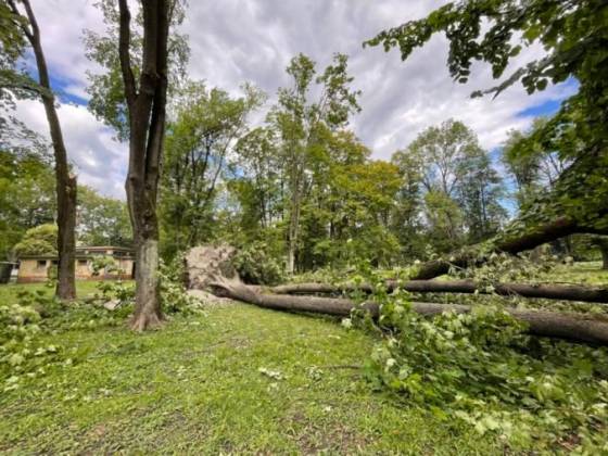 Banská Bystrica sumarizuje škody po silnej búrke, odstraňovanie polámaných stromov môže trvať týždne
