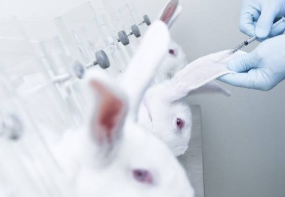 Slovensko sa pridalo ku kampani za koniec testovania na zvieratách, podporiť ju má nové video