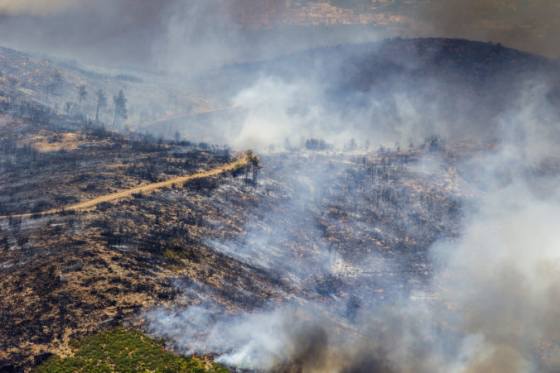 lesnych poziarov mame v eu coraz viac smutnym rekordom tohto roka je aj 700 tisic spalenych hektarov