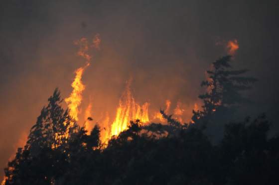 lesne poziare v portugalsku znicili tisice hektarov porastov padol aj teplotny rekord 46 4 stupna celzia video