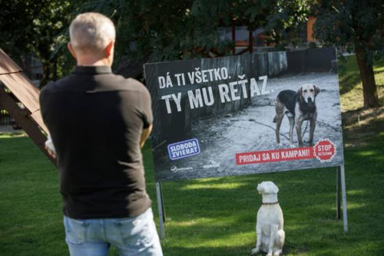 Sloboda zvierat opäť prichádza s návrhom zákona o zákaze držania psov na reťaziach