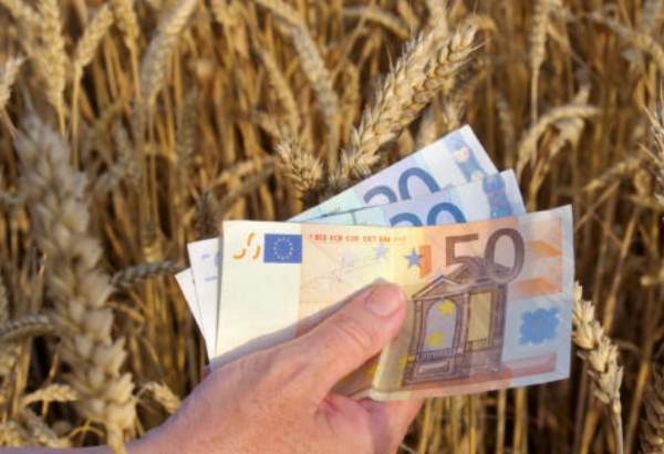 Bíreš uviedol spôsob vyplácania odškodného pre pestovateľ pšenice, dostanú takmer šestnásť miliónov eur (video) 
