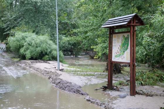 bratislavska zoo sa po povodniach obava o svoju buducnost pomozme jej opat otvorit