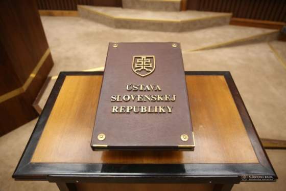 obcianske organizacie spustili peticiu novela ustavy podla nich oslabi demokraciu a poskodi vsetkych ludi