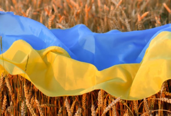 Rusko pašuje ukradnuté obilie z Ukrajiny, pomôže to financovať Putinovu vojnovú mašinériu 