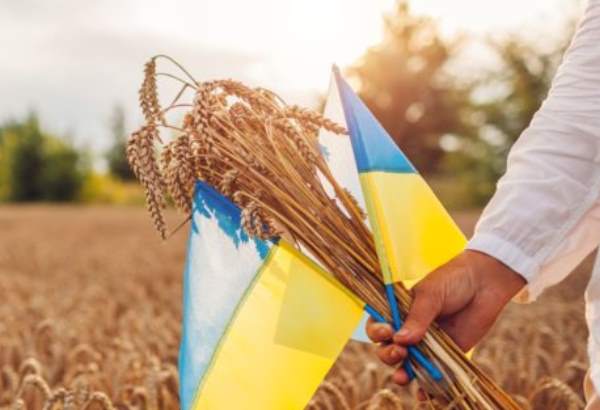 Slovensko chce riešiť problém transportu ukrajinského obilia, s dvomi krajinami sa pokúsi vytvoriť koridor solidarity 