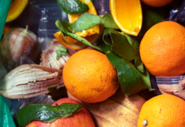 chcela urobit dobry skutok skoncila s pokutou vo viedni potrestali babicku za darovanie zeleniny