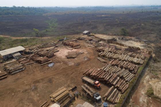 Odlesňovanie v Amazónii dosiahlo najvyššiu úroveň od roku 2008, Bolsonaro uprednostňuje rozvoj