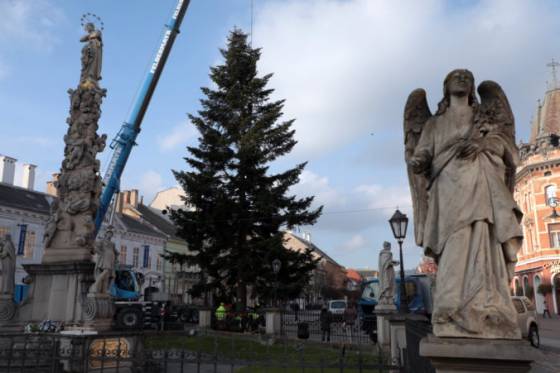 Centrum Košíc už zdobí vianočný strom, dominanta mesta má 60 rokov a úctyhodnú výšku