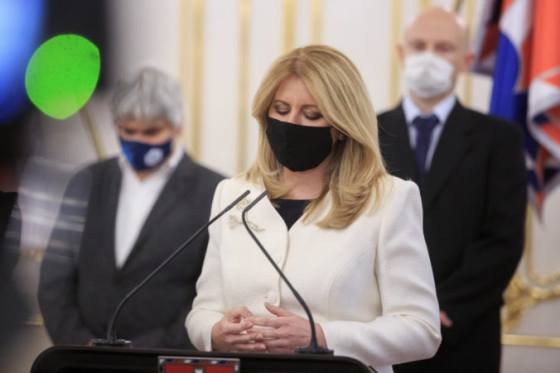 prezidentka caputova prevzala poverovacie listiny od noveho ruskeho velvyslanca bratcikova