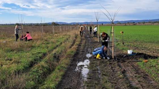 dobrovolnici z metlife sa staraju o zivotne prostredie a zazelenuju slovensko