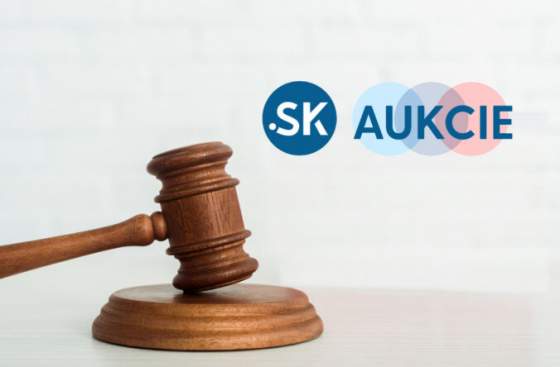 spolocnost sk nic prichadza s aukciou unikatnych domen